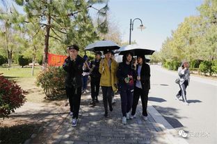 川美手工藝術(shù)學院與藝術(shù)設計學院課程研討交流會策劃方案