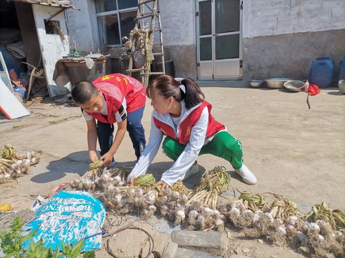 東營市新時代文明實(shí)踐志愿服務(wù)網(wǎng) 數(shù)字化平臺賦能志愿服務(wù)新篇章